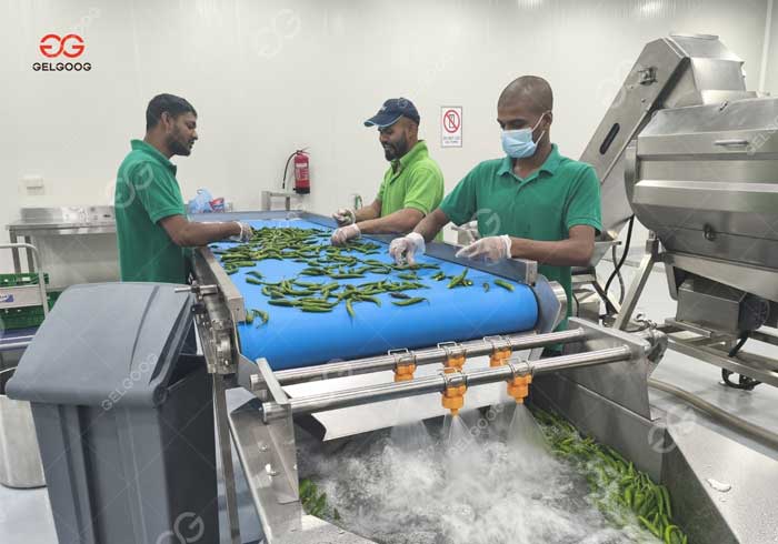 Vegetable Sauce Project